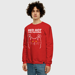 Свитшот хлопковый мужской Red Hot Chili Peppers rock cat, цвет: красный — фото 2