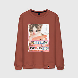 Свитшот хлопковый мужской Destroy everything kitty, цвет: кирпичный