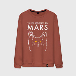 Свитшот хлопковый мужской Thirty Seconds to Mars rock cat, цвет: кирпичный