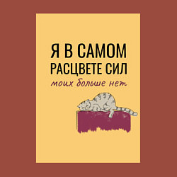 Свитшот хлопковый мужской Уставший кот в полном расцвете сил, цвет: кирпичный — фото 2