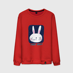 Свитшот хлопковый мужской Funny - Bunny, цвет: красный