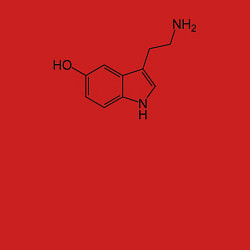 Свитшот хлопковый мужской Серотонинчик, цвет: красный — фото 2