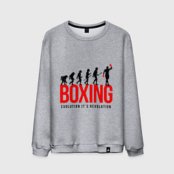 Мужской свитшот Boxing evolution