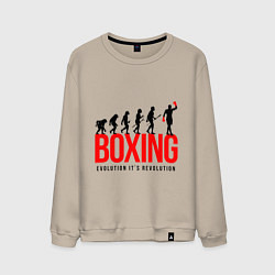 Мужской свитшот Boxing evolution