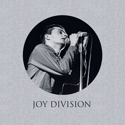 Свитшот хлопковый мужской Joy Division: Ian Curtis, цвет: меланж — фото 2