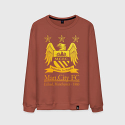 Мужской свитшот Manchester City gold