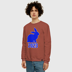 Свитшот хлопковый мужской 2023 силуэт кролика синий, цвет: кирпичный — фото 2