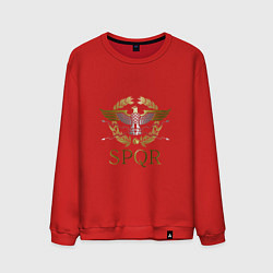 Свитшот хлопковый мужской SPQR, цвет: красный