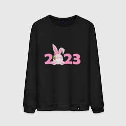 Мужской свитшот Розовый кролик 2023