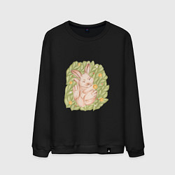 Мужской свитшот Спящий кролик на вязанном пледе