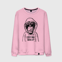 Свитшот хлопковый мужской Monkey hipster, цвет: светло-розовый