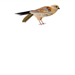 Свитшот хлопковый мужской Сокол птица, цвет: белый — фото 2