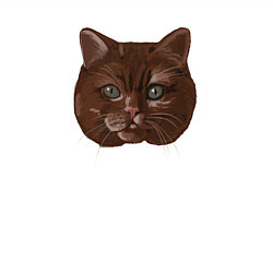 Свитшот хлопковый мужской Килиан КЗТ, цвет: белый — фото 2