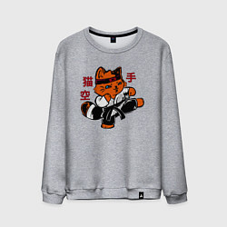 Свитшот хлопковый мужской Кот каратист art, цвет: меланж