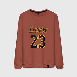 Мужской свитшот Lebron 23