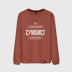 Свитшот хлопковый мужской Надпись: будущий лучший сумоист, цвет: кирпичный