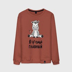 Свитшот хлопковый мужской Зебра я тут самый главный, цвет: кирпичный