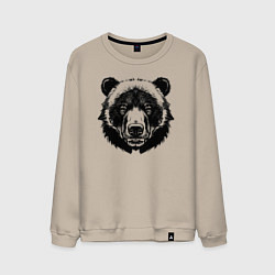 Свитшот хлопковый мужской Чернильный медведь, цвет: миндальный