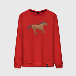 Свитшот хлопковый мужской Мустанг лошадка, цвет: красный