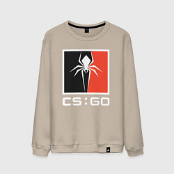 Мужской свитшот CS spider