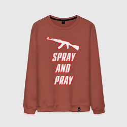 Свитшот хлопковый мужской Spray and play, цвет: кирпичный