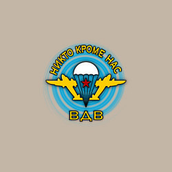 Свитшот хлопковый мужской ВДВ символ, цвет: миндальный — фото 2