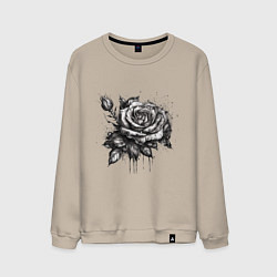 Свитшот хлопковый мужской Роза нарисованная карандашом, цвет: миндальный