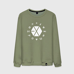 Свитшот хлопковый мужской Logo EXO, цвет: авокадо