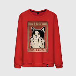 Свитшот хлопковый мужской I do what I want кот и фак, цвет: красный