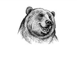 Свитшот хлопковый мужской Медведь улыбается, цвет: белый — фото 2