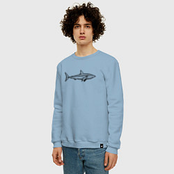 Свитшот хлопковый мужской Акула профиль, цвет: мягкое небо — фото 2