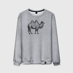 Мужской свитшот Верблюд профиль