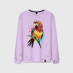 Свитшот хлопковый мужской Акварельный попугай, цвет: лаванда