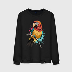 Свитшот хлопковый мужской Акварельный попугай, цвет: черный