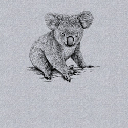 Свитшот хлопковый мужской Коала сидит, цвет: меланж — фото 2