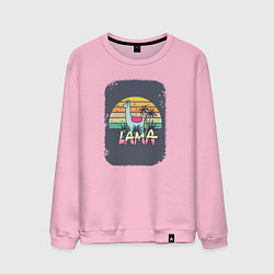 Свитшот хлопковый мужской Colorful Llama, цвет: светло-розовый