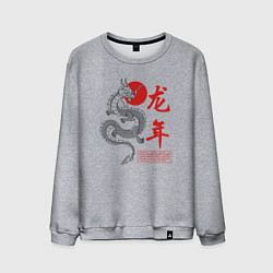 Свитшот хлопковый мужской Year of the dragon, цвет: меланж