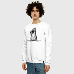 Свитшот хлопковый мужской Морской котик модный, цвет: белый — фото 2