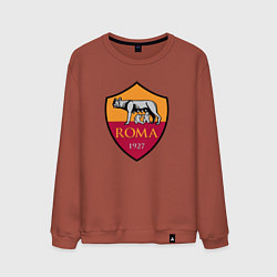 Свитшот хлопковый мужской Roma sport fc, цвет: кирпичный