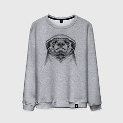 Свитшот хлопковый мужской Гордый медоед, цвет: меланж