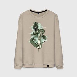Свитшот хлопковый мужской Зеленый дракон в облаках, цвет: миндальный