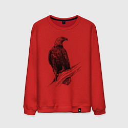 Свитшот хлопковый мужской Орёл на ветке, цвет: красный