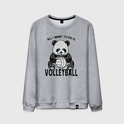 Свитшот хлопковый мужской Panda volleyball, цвет: меланж