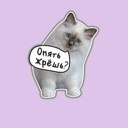 Свитшот хлопковый мужской Опять жрешь, цвет: лаванда — фото 2