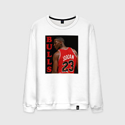 Свитшот хлопковый мужской Bulls Jordan, цвет: белый