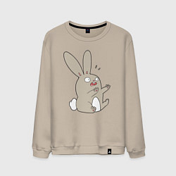 Мужской свитшот Funny bunny