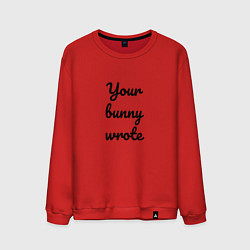 Мужской свитшот Your bunny wrote 2024