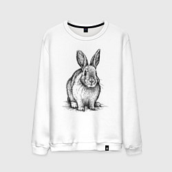 Свитшот хлопковый мужской Заяц спереди, цвет: белый