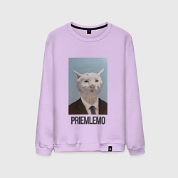 Свитшот хлопковый мужской Приемлемо - кот мем в живописи, цвет: лаванда
