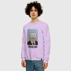 Свитшот хлопковый мужской Приемлемо - кот мем в живописи, цвет: лаванда — фото 2
